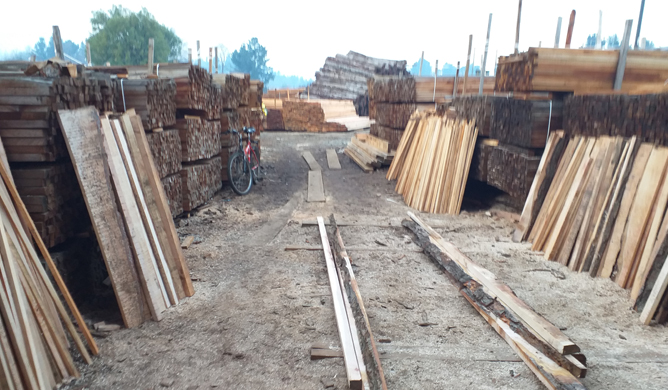 Maderas Nativas del Sur